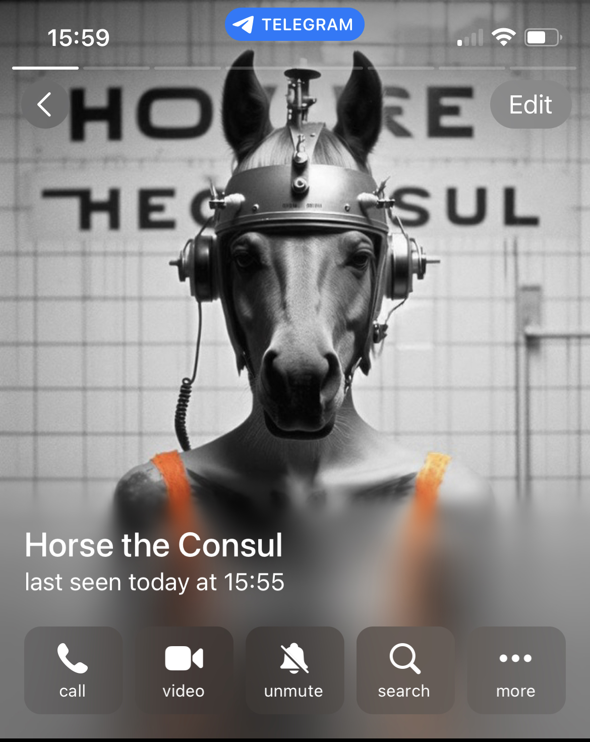 Horse the Consul